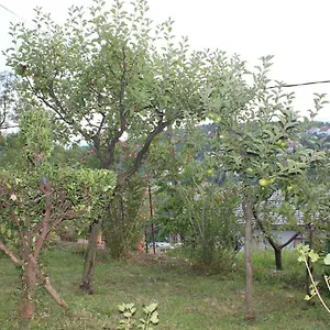 https://tutnovo-13.primorje-gorskikotar.com